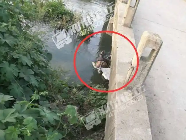 惊!邓州运粮河刚被发现一具无名男尸,都发臭了.