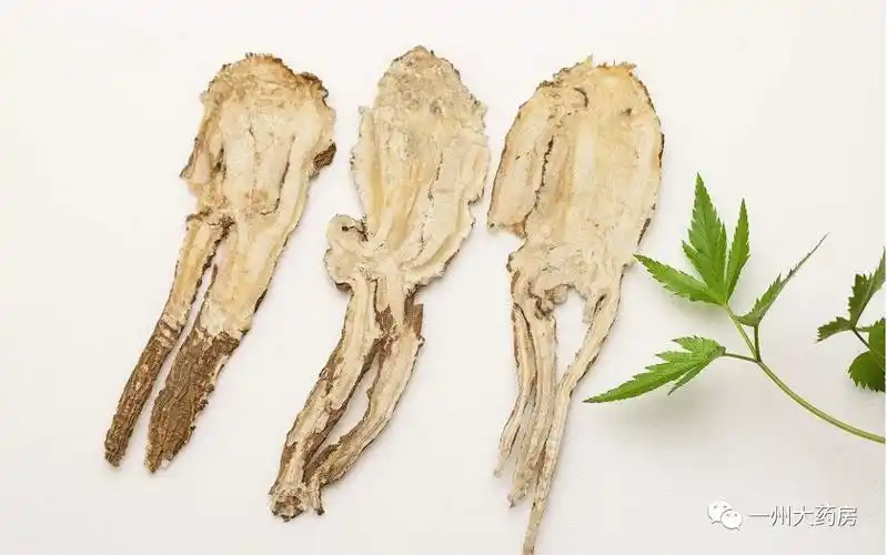 中药小故事当归