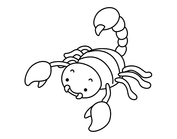 蝎子起线稿图片昆虫简笔画蝎子图片暖浣熊简笔画条纹蜘蛛线稿图片最新