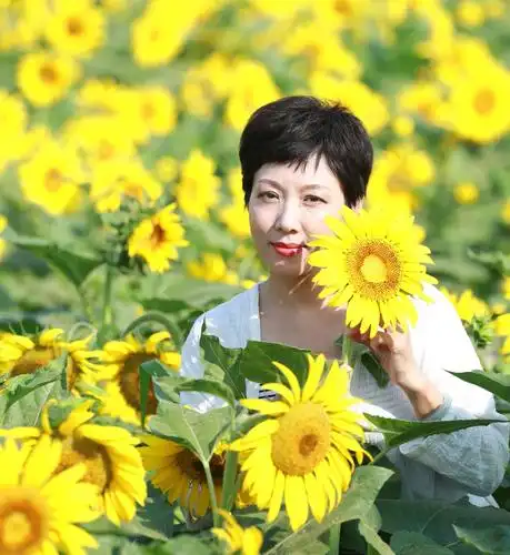 其它 心向阳光 写美篇向日葵告诉我,只要面对着阳光努力向上,日子就会