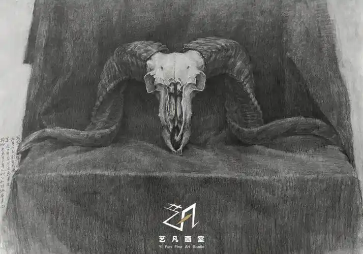 备考央美附中静物羊头写生范画步骤拆分图