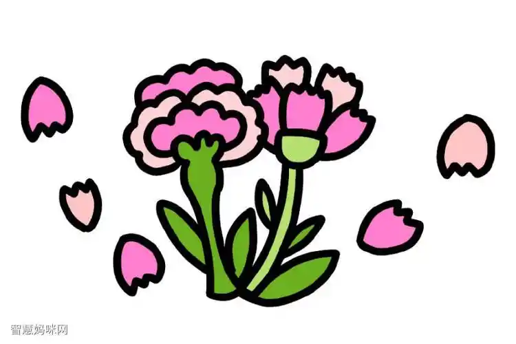 母亲节的花康乃馨简笔画画法步骤