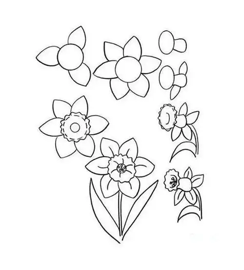 各种花儿怎么画简单易学手绘花朵简笔画图片