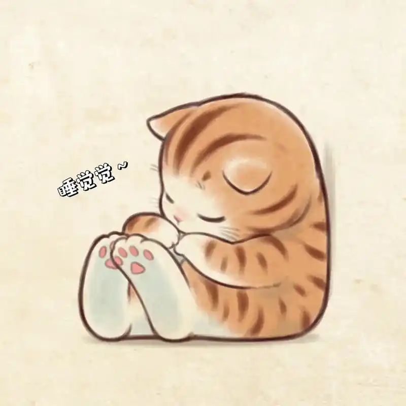 乖乖睡觉的小猫咪