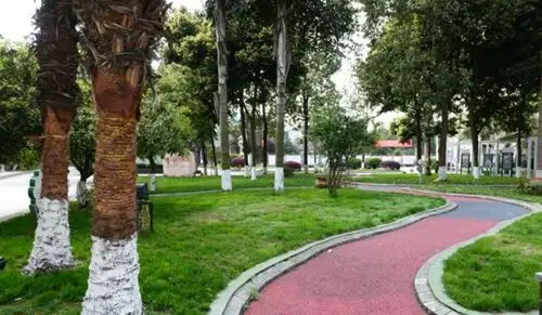 四川省双流艺体中学校园图片,环境怎么样?