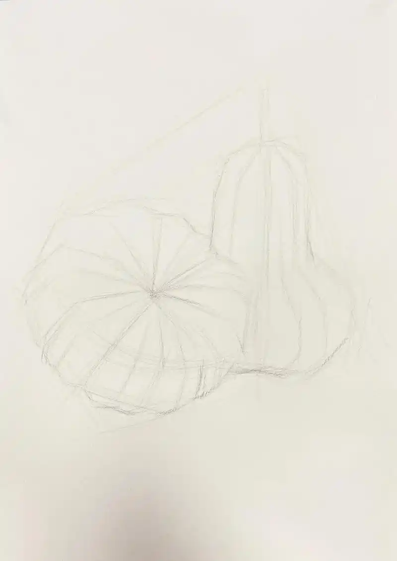 图文伙伴计划 #素描静物 刚刚过完万圣节99还剩下些南瓜, - 抖音