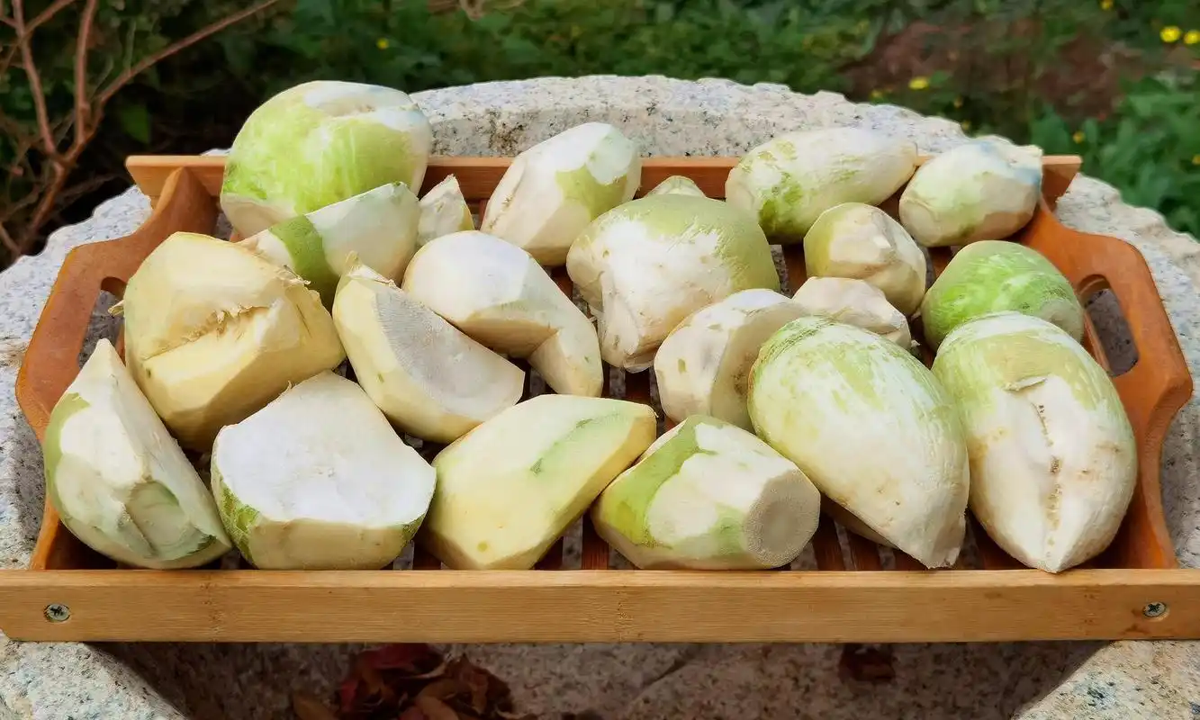 常被忽略的芥菜,比萝卜营养,比白菜便宜,简单一煮一晒,比肉香