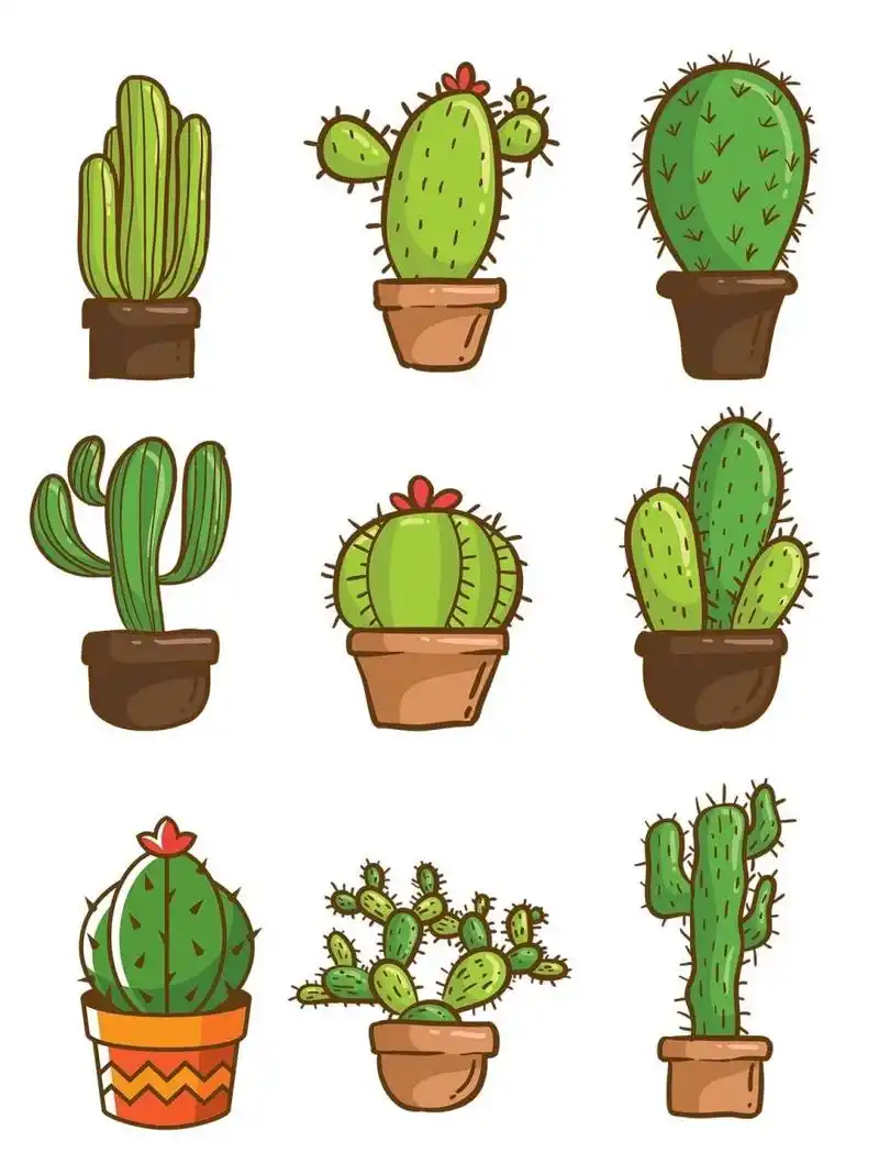 卡通多肉植物仙人掌|免扣素材分享 96q版可爱的多肉植物来了,来画一