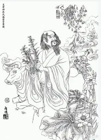 神农尝百草等待的时间似乎格外的漫长,在吃下那些颗粒之后的几天里,我