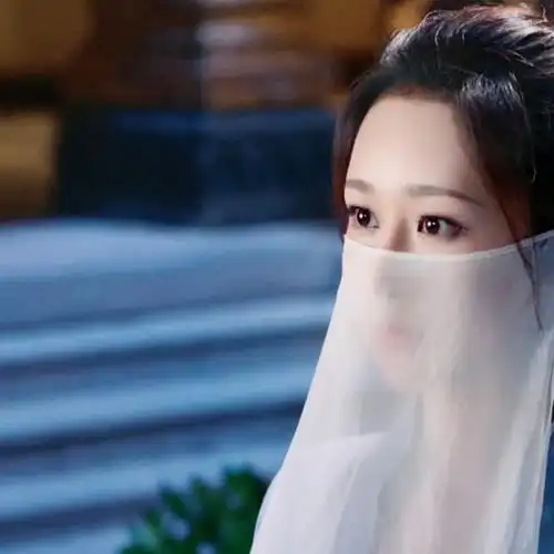 《香蜜沉沉烬如霜》自截情头