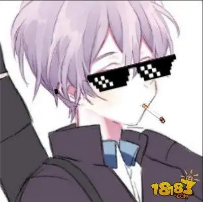 气场很足 王者荣耀带墨镜英雄头像合集