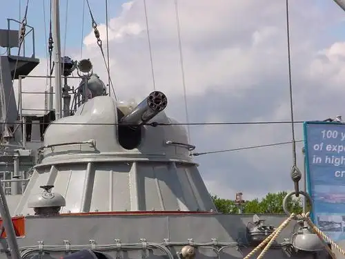 有的,下面这个就是:苏联的30mmak630近防炮.