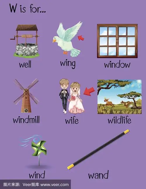 不同的单词以字母w开头
