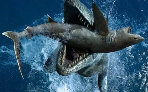 与海怪同行史前探险中英双语字幕