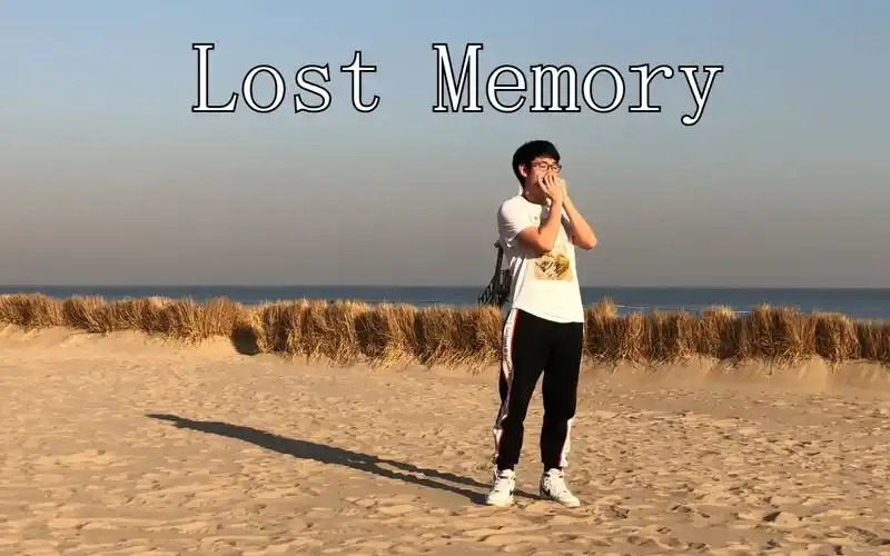 蓝调口琴lostmemory海上钢琴师不这里有海上口琴师口技了得