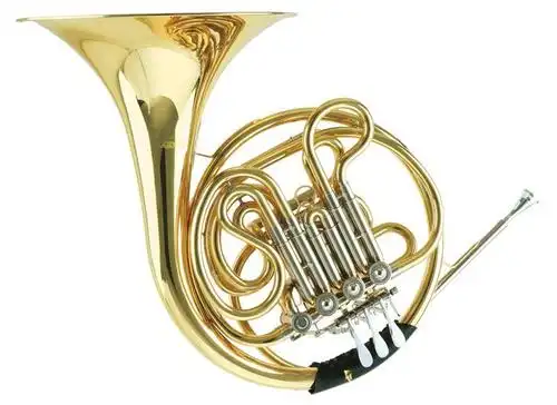 种类虽然多,不过,f调和降b调的双排圆号才是交响乐队的标准乐器.