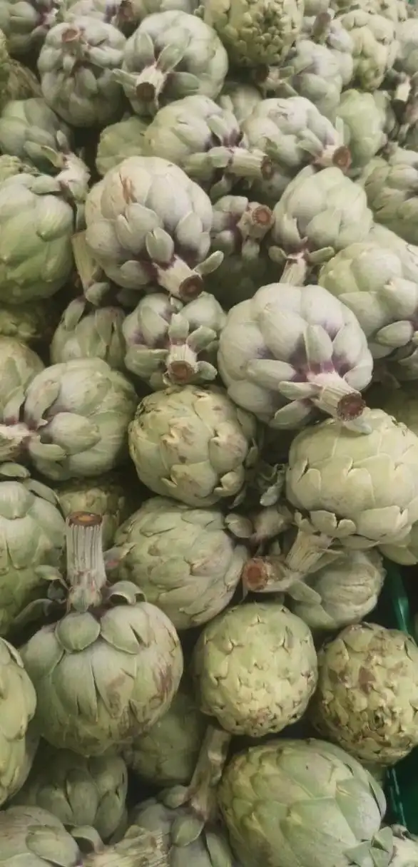 建议友友们长期便秘的人吃这个《朝鲜蓟》效果非常好9191清热