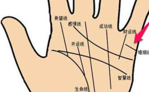 手掌中智慧线与生命线分离 有着这些不同含义-996手相网