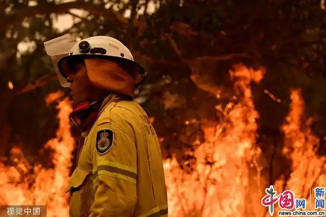 澳大利亚新南威尔士州中央海岸,林火持续,数千名消防员在高温中灭火
