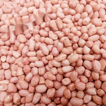 俏滋郎年货新鲜生花生米小白沙花生仁去壳农产品自种新鲜生花生米1500