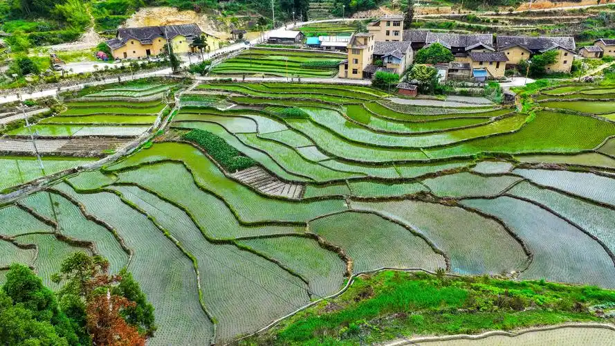 寻找国风见证官夏日乡村田野