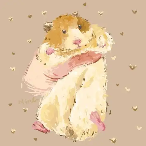 客单金丝熊黄金仓鼠