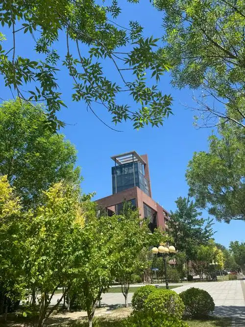 校园里的那抹风景