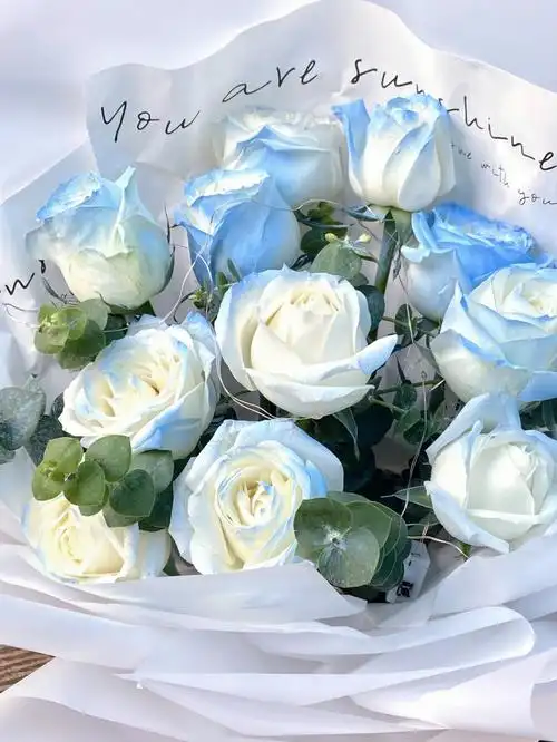 毕业典礼送花推荐密西根碎冰蓝渐变玫瑰