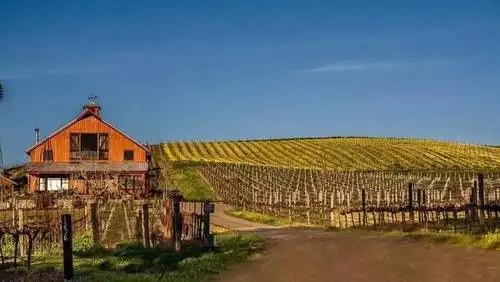 美国家庭农场发展历史可以对我国乡村振兴战略发展提供哪些借鉴