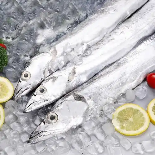 带鱼新鲜冷冻冰冻生鲜野生12kg2条带鱼