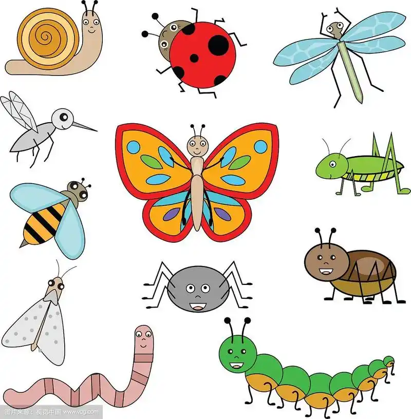 卡通风格的昆虫