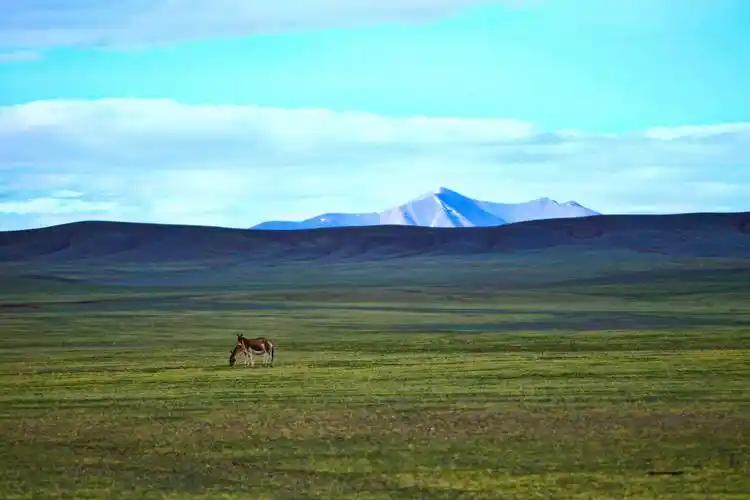 可可西里,从来不是常规旅游地