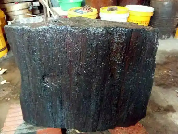 顶上有年轮,这个树化石是什么树的呢?