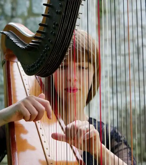 弹奏竖琴的人物