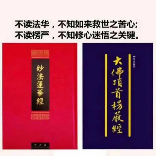 白茶,堪比抗生素,感冒药,还能护肝益肺