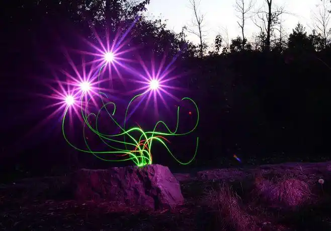 purple flowers - light painting