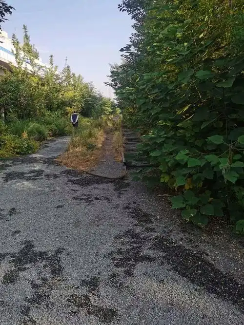 规范展春园西路共享单车停车秩序巡查学院桥周边巡查清华东路西口地铁