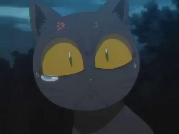 为什么会变成秒男死神里的四枫院夜一为什么会变成猫朽木白哉为什么称