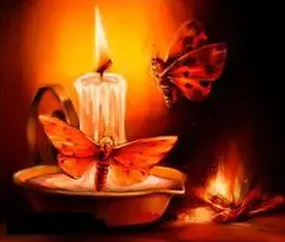 飞蛾为什么扑火飞蛾为什么扑火科学解释