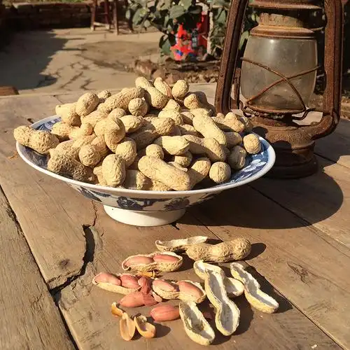 炒花生带壳5斤装熟花生农家吊炉铁锅土沙炒花生炒货散装零食原味