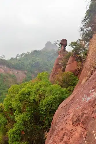 仙女石(小腰精)20200111