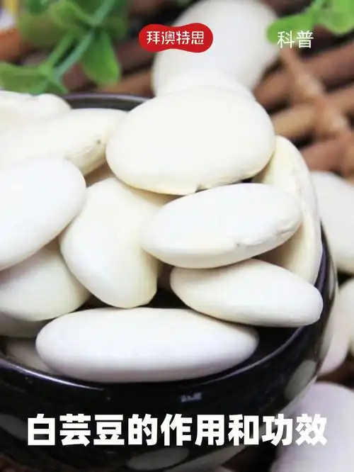 白芸豆的功效和作用