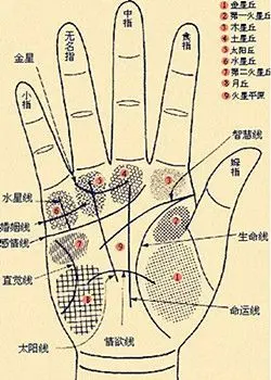 男人手相算命图解,洞悉你男人的命运信息|手相|智慧线|感情线