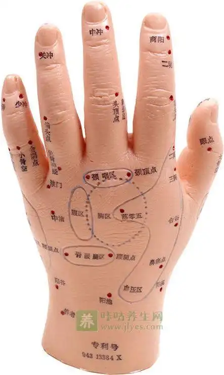 手部全息反射区