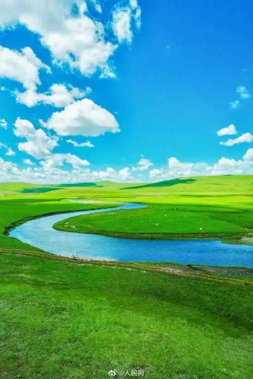 大草原风景图片,满眼青翠,景色如画,这份夏日草原壁纸请收下 - 丽质