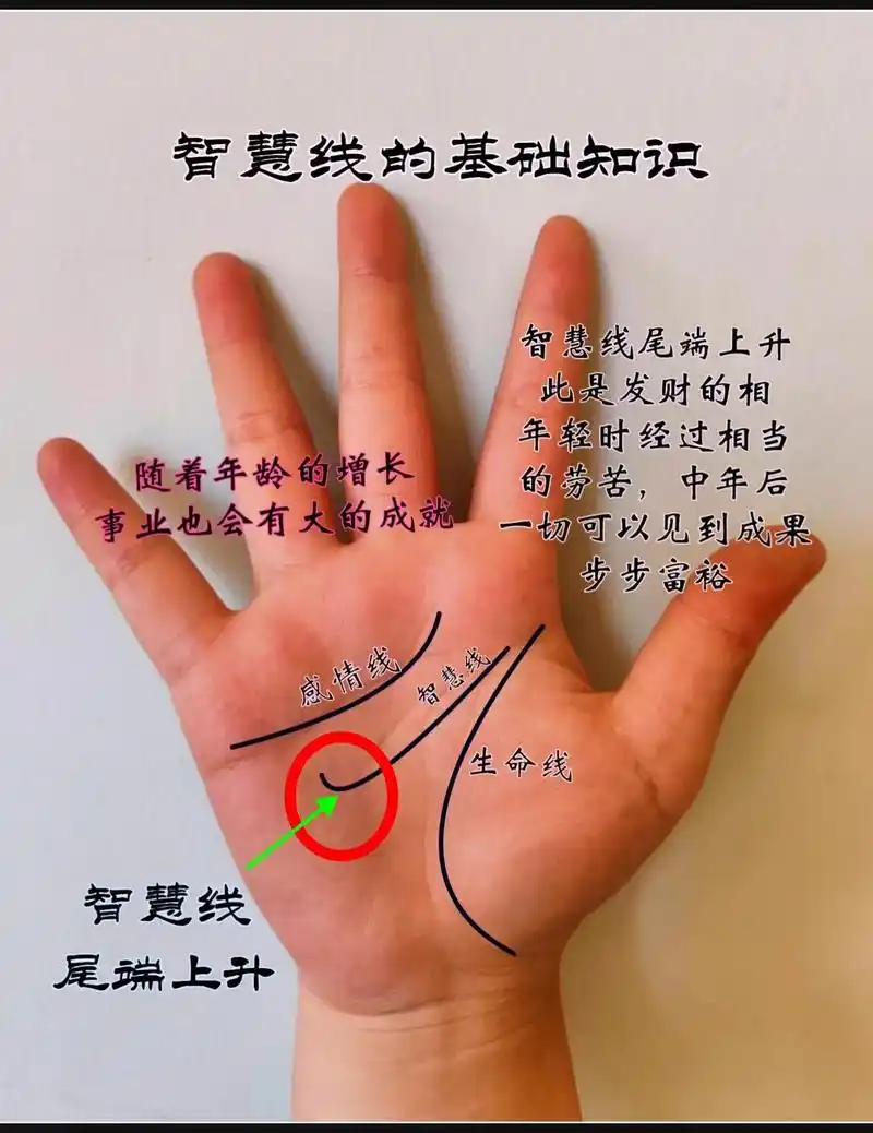 掌纹中智慧线的基础知识.#掌纹的秘密 #国学文化 #知识创作 - 抖音