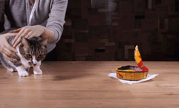 588_354gif 动态图 动图