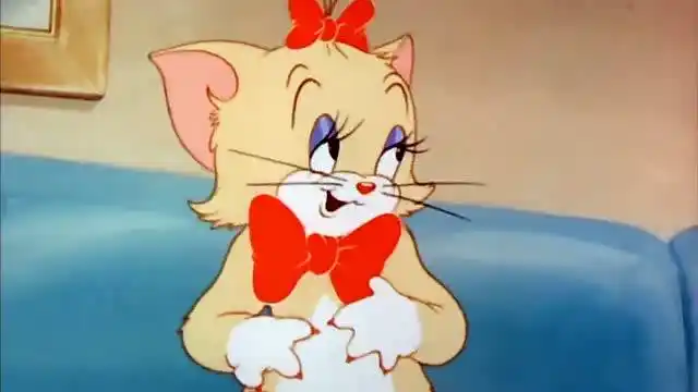 猫和老鼠:小猫对母猫示爱,母猫不同意