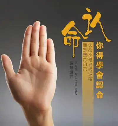 你认命吗学会认命认命不是消极退缩而是善待自己