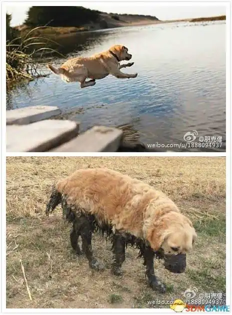 新内涵囧图让人会心一笑公交车上精彩表演观众点赞